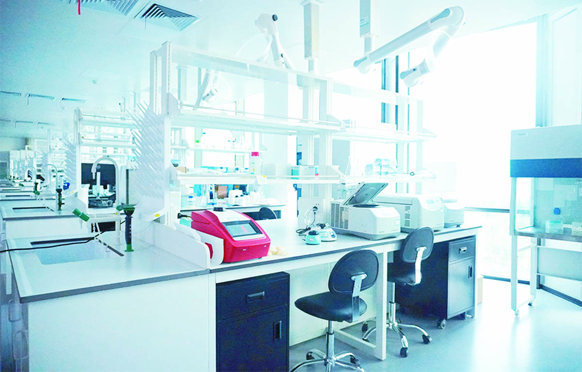 中国科学院青岛生物能源与过程研究所4 拷贝.jpg
